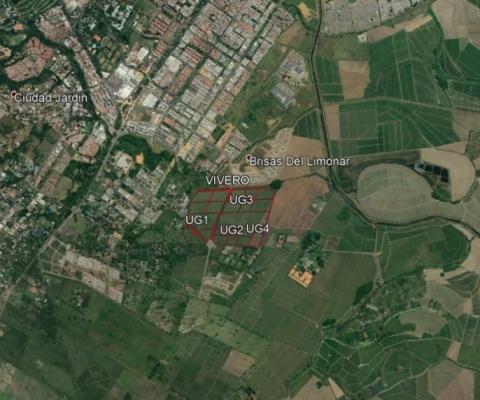 Proyecto Vivero - Cali